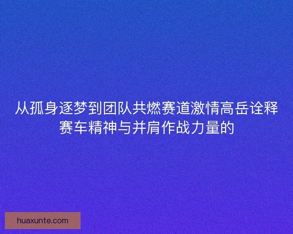 从孤身逐梦到团队共燃赛道激情高岳诠释赛车精神与并肩作战力量的